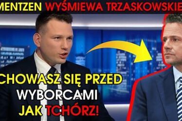 mentzentube